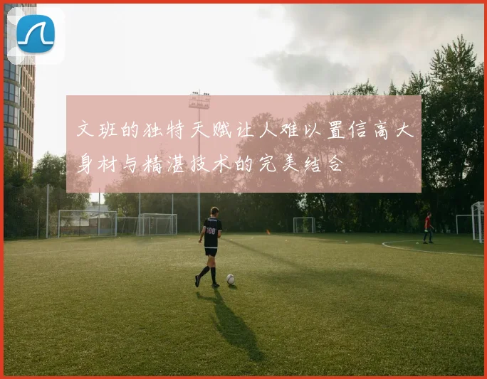 文班的独特天赋让人难以置信高大身材与精湛技术的完美结合
