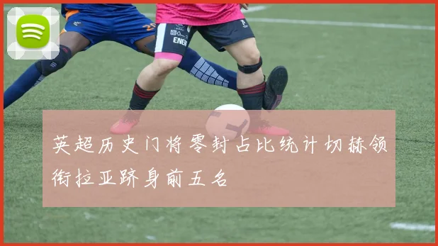 英超历史门将零封占比统计切赫领衔拉亚跻身前五名