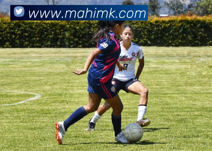 奖项证书